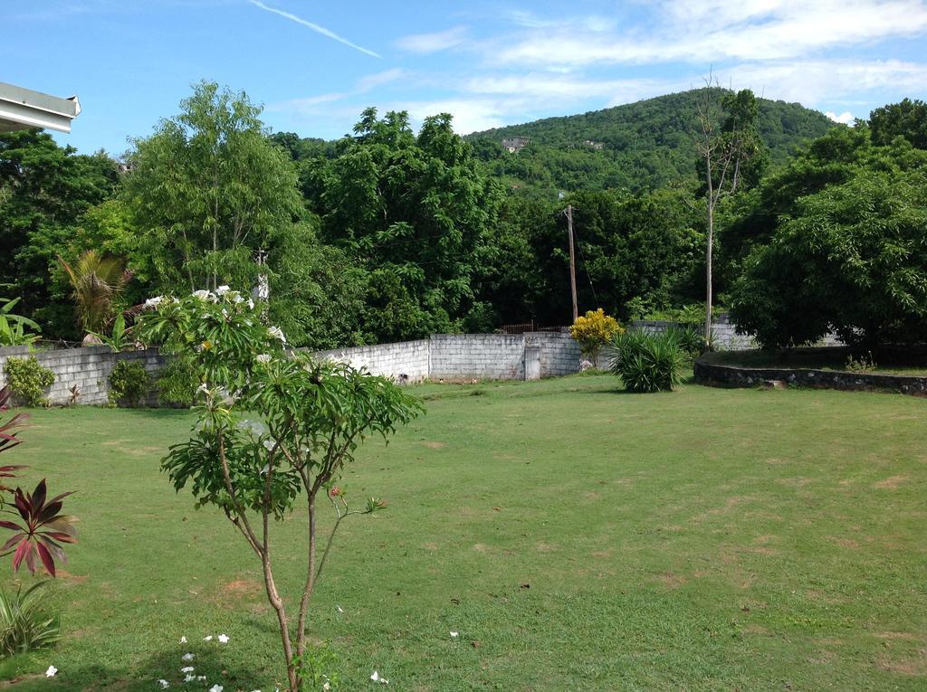 Chillax On Our Farm Casa de hóspedes Ocho Rios Exterior foto