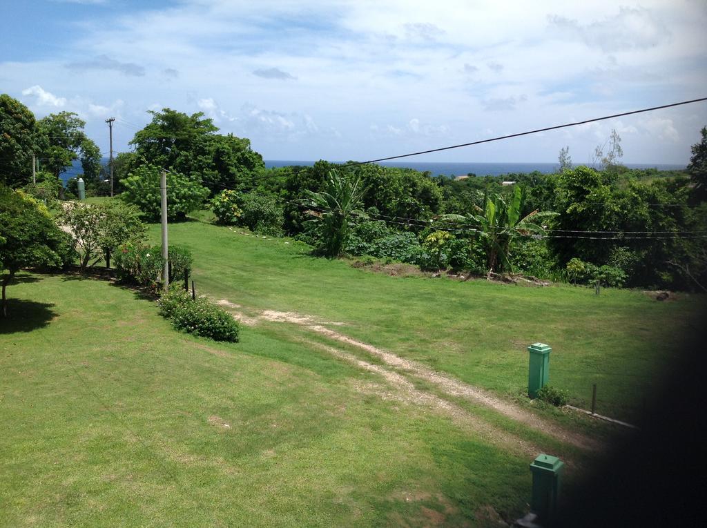 Chillax On Our Farm Casa de hóspedes Ocho Rios Exterior foto